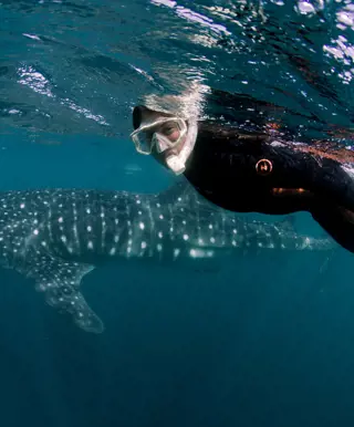 Auf Isla Holbox relaxen und mit Walhaien schnorcheln